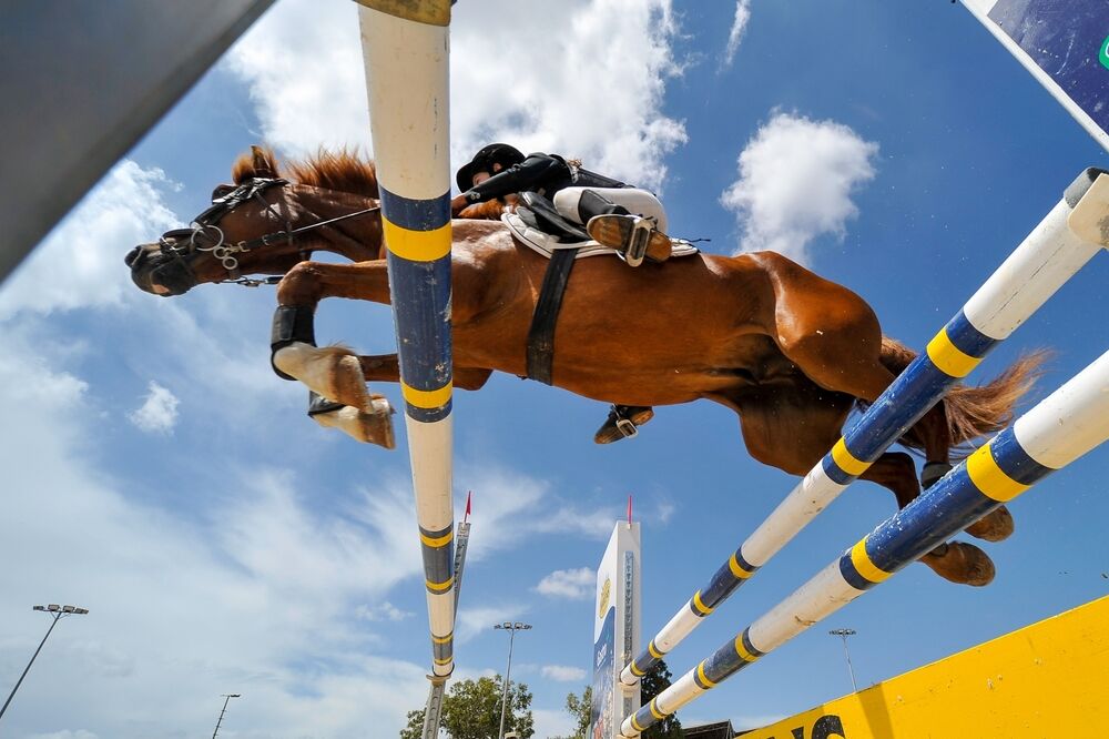 Niche equestrian disciplines entering wider online betting ecosystem