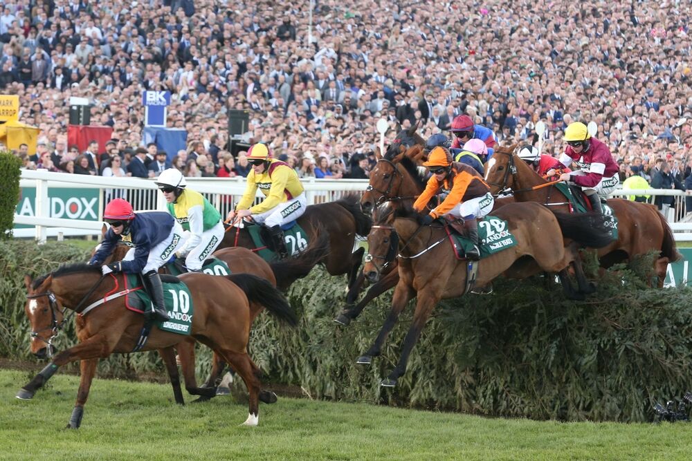 BGC warns £100m of Grand National betting may have gone offshore