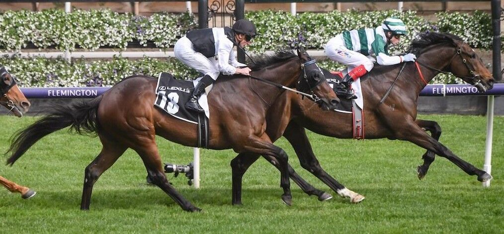 Botswana positions horse racing as tourism and rural growth lever