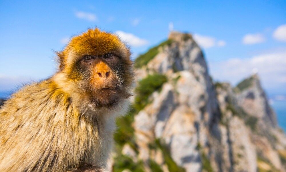 Gibraltar