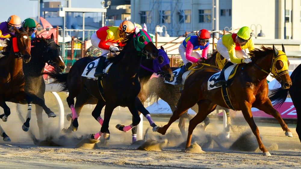 Online Sports Betting Japan, Japan Racing Association, BloodHorse